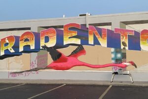 giant flamingo mural