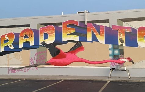 giant flamingo mural
